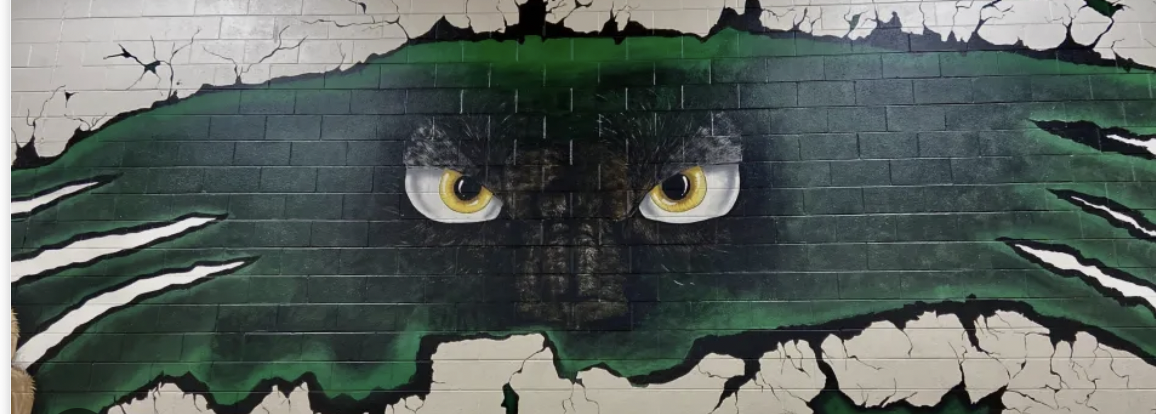 The event Apex Basketball Twilight 5K is happening September 26, 2024